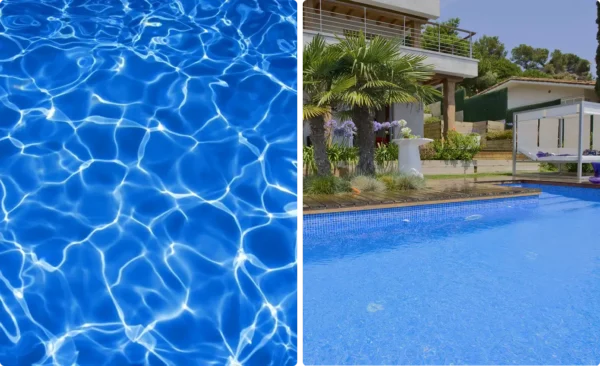 Piscine avec mosaique et palmiers en arrière-plan.
